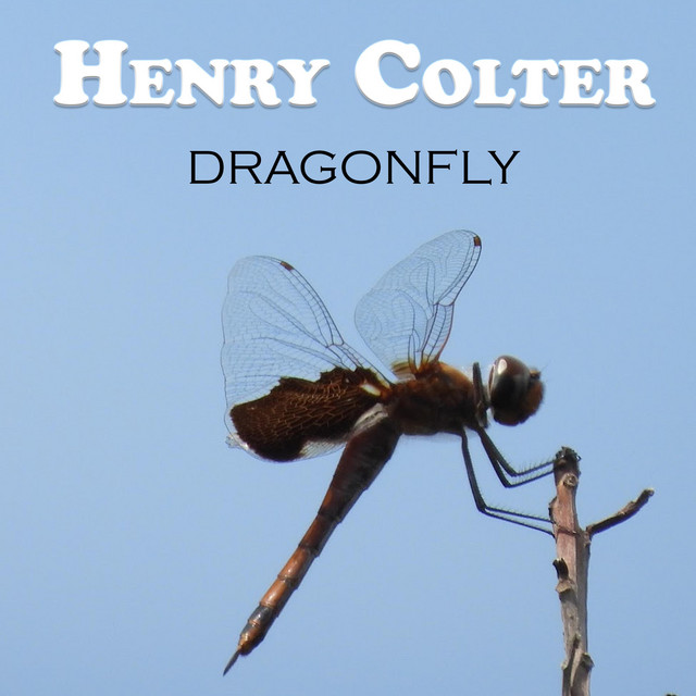Dragonfly cover art
